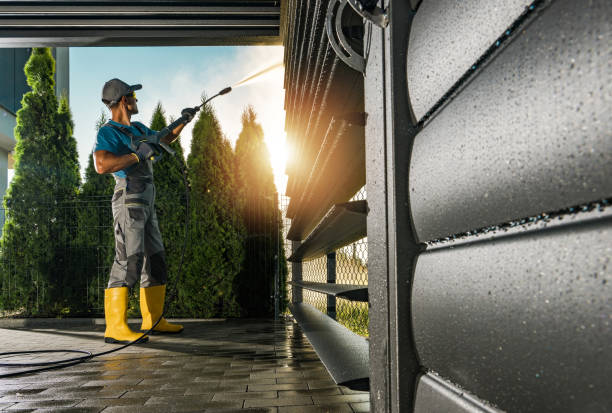 Best Pressure Washing Driveway  in Ralston, NE