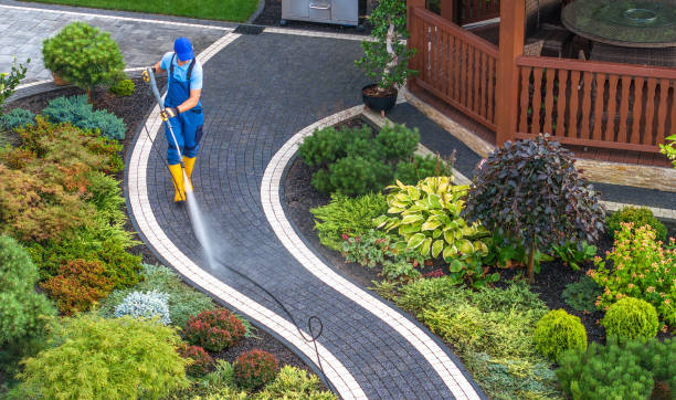 Best House Pressure Washing  in Ralston, NE