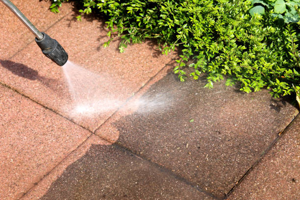 Best Pressure Washing Estimates  in Ralston, NE